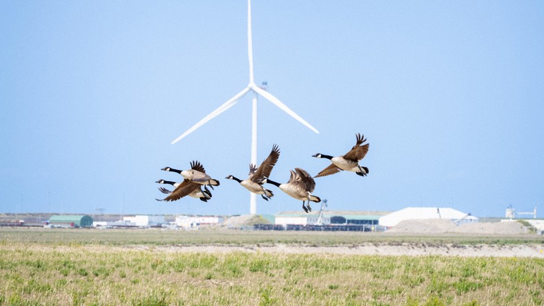 J9uqpjh2hn8eznymxo4myvpp2qgwt2avtifxzqsx