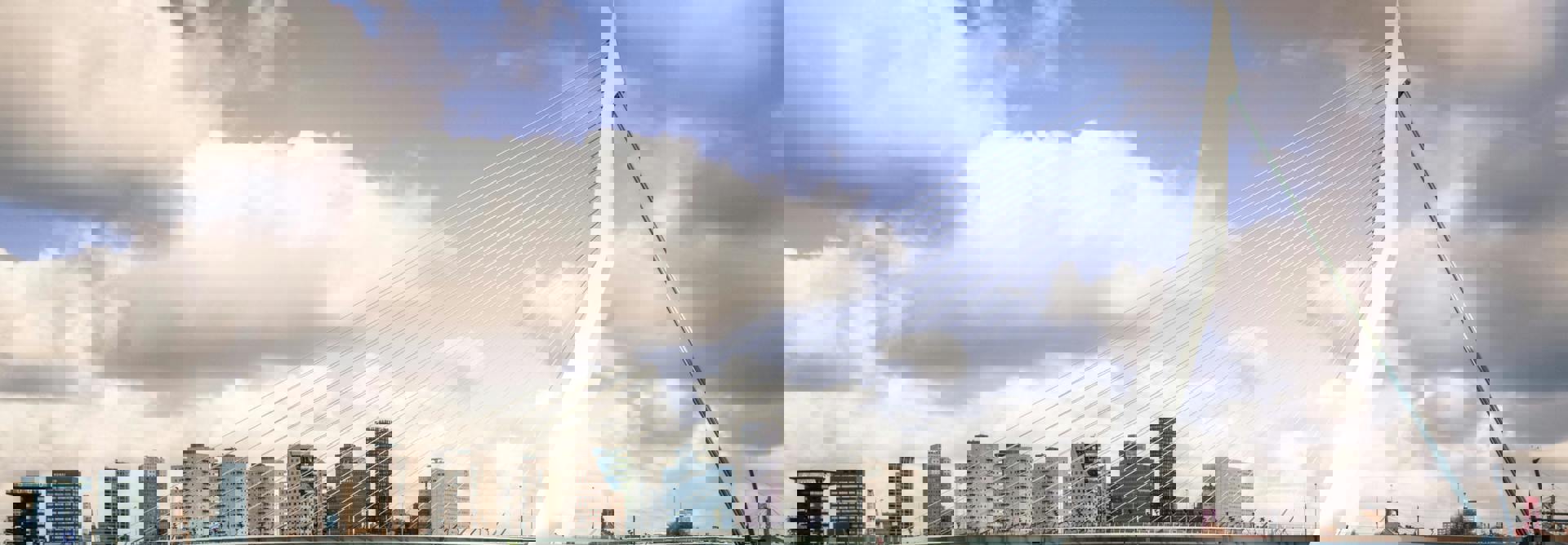 Pexels Skitterphoto 735790