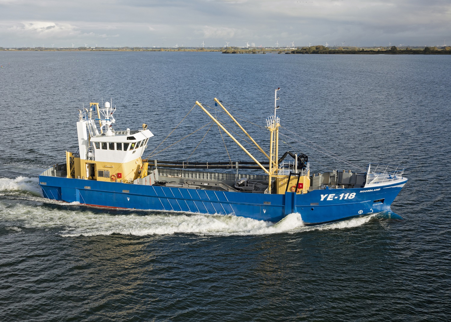 Damen 7